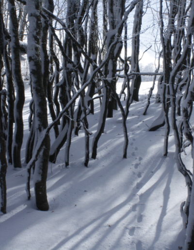 Paesaggio invernale del Pollino