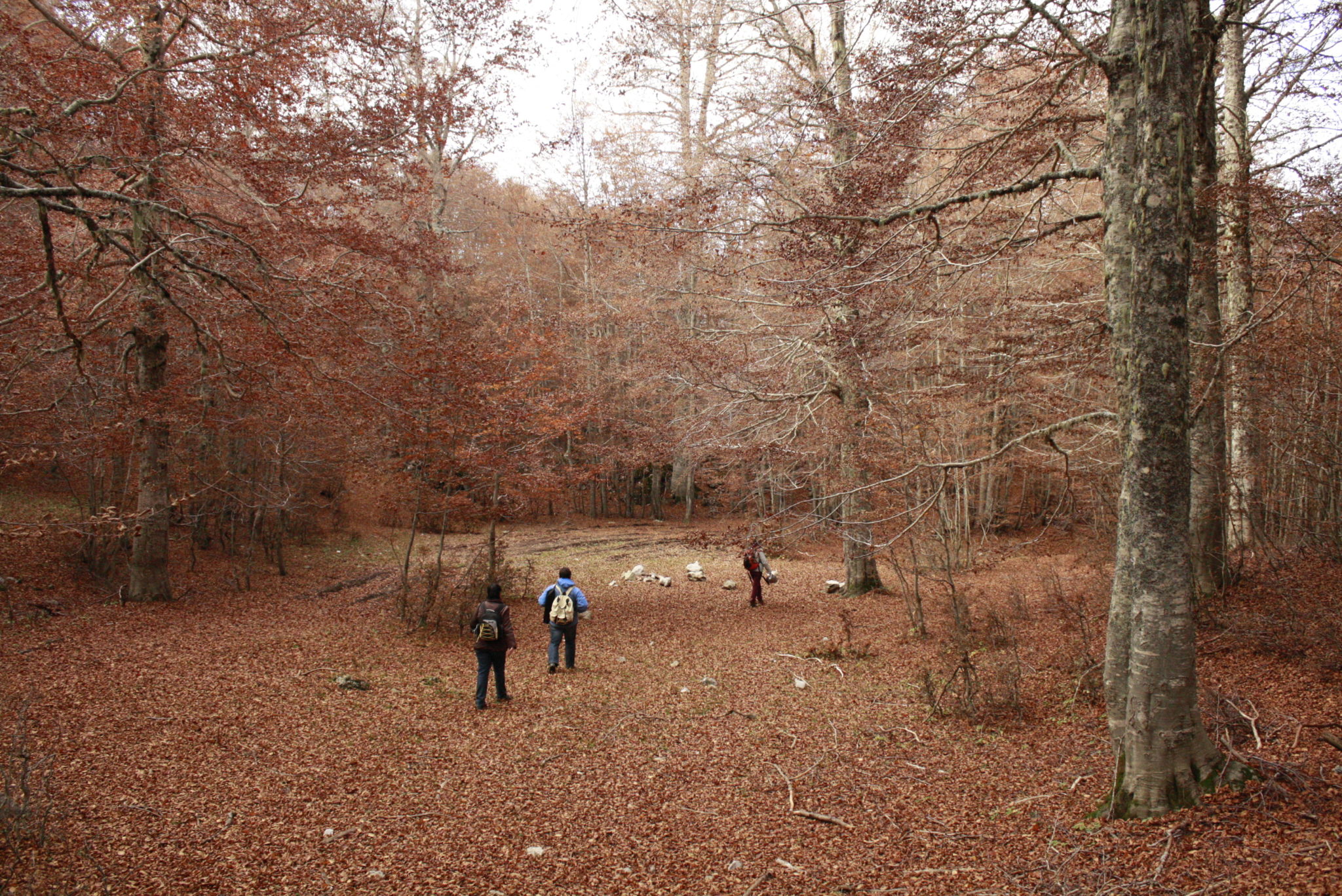 Un paesaggio autunnale nel Parco del Pollino