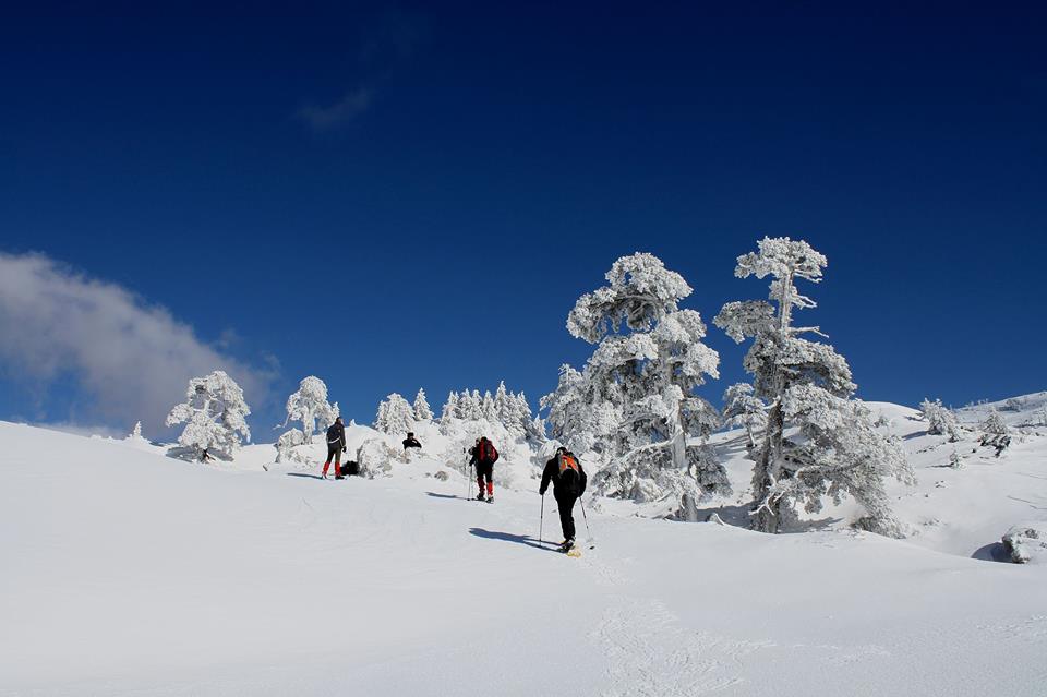 NEVE POLLINO: CIASPOLE E SLITTINI PER TUTTI