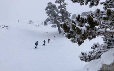 FINALMENTE NEVICA! AL VIA LE CIASPOLATE!